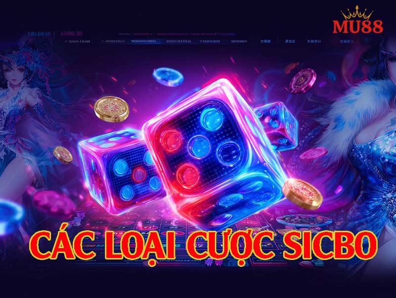 Các loại cược trong Sicbo người chơi cần biết