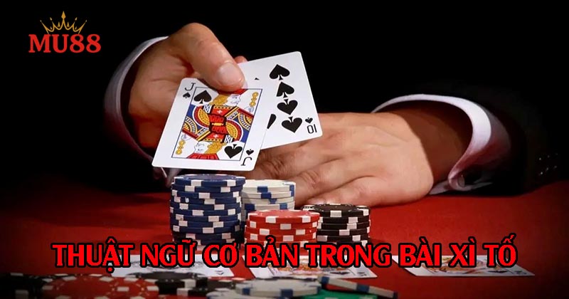 Thuật ngữ cơ bản trong bài xì tố