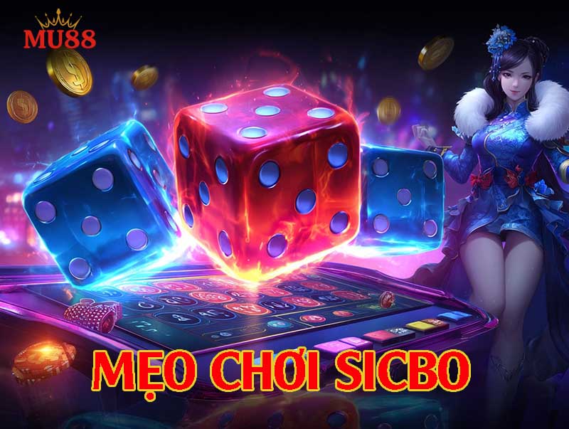 Mẹo chơi Sicbo hiệu quả cho người mới