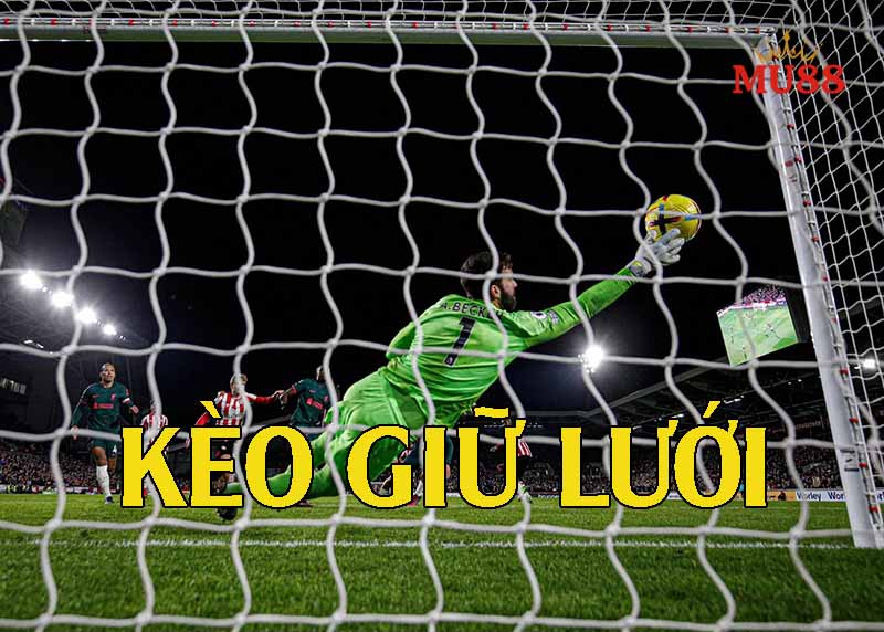 Tìm hiểu về loại kèo giữ sạch lưới