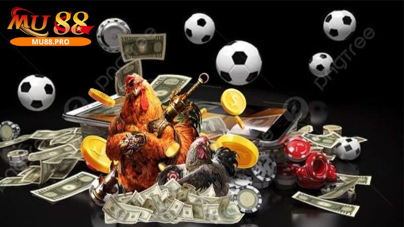 Các game giải trí đa dạng