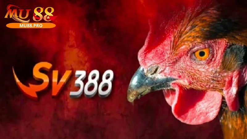 SV388 là địa chỉ cá cược nổi tiếng có giấy phép hoạt động