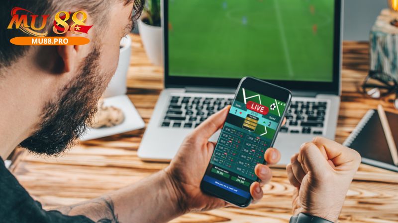 Trang bóng uy tín là các địa chỉ tốt để cá độ